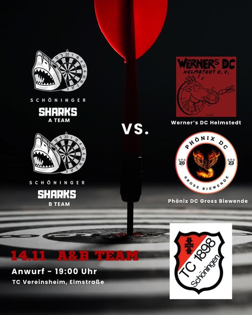 2025 Darts Heim 14.11.25