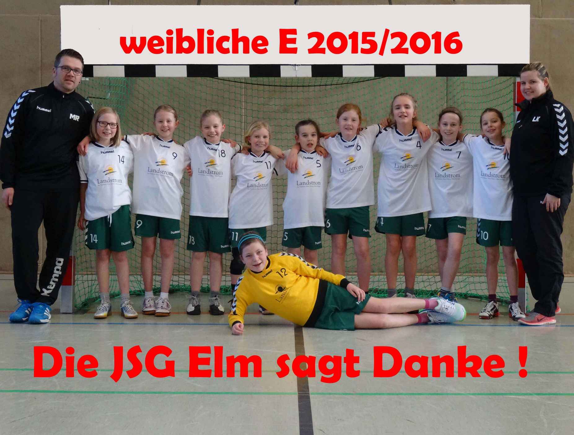 WE JSG Elm